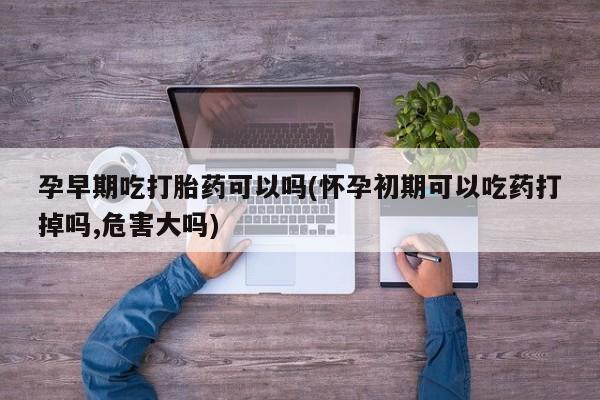 网上卖打胎药的微信号孕早期吃打胎药可以吗(怀孕初期可以吃药打掉吗,危害大吗)