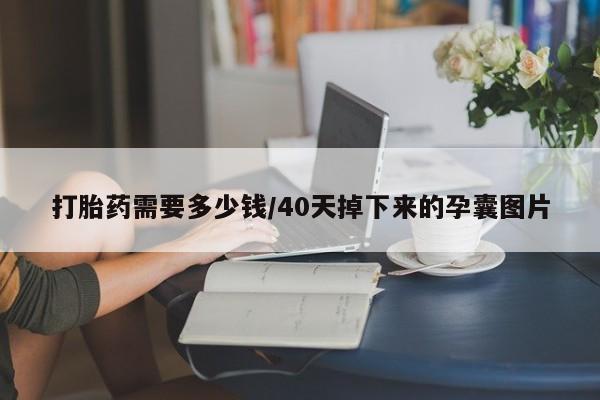 网上卖打胎药的微信号打胎药需要多少钱/40天掉下来的孕囊图片
