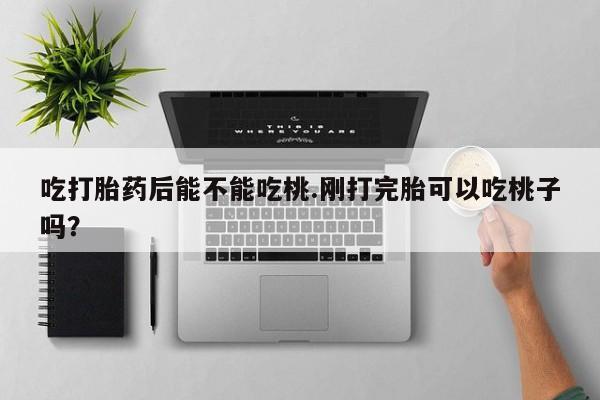 网上卖打胎药的微信号吃打胎药后能不能吃桃.刚打完胎可以吃桃子吗？
